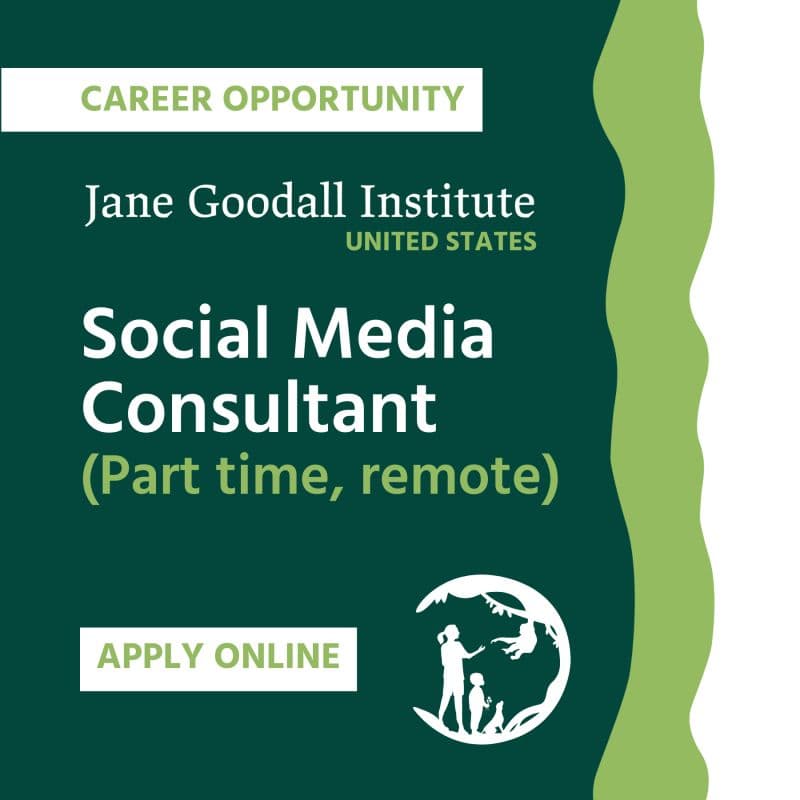 Unlock a Rewarding Remote Career: Jane Goodall Institute Seeks Social Media Consultant