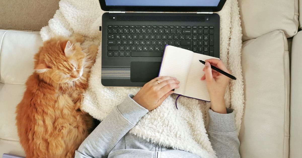 Escape Video Call Hell: 8 High-Paying Remote Jobs That Pay $75+/Hour Without Camera Time