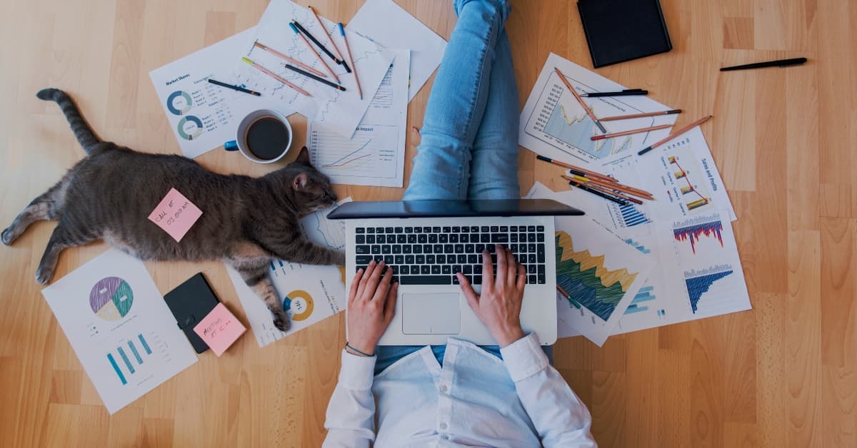 Discover 10 High-Paying Remote Entry-Level Jobs That Pay $30+ Per Hour