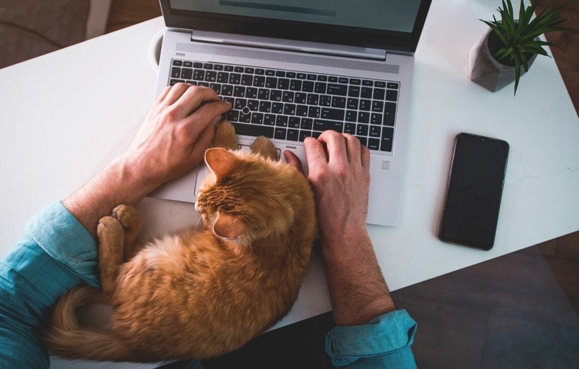 Are Remote Cleared Jobs Disappearing? The Truth About Finding Remote Work in National Security
