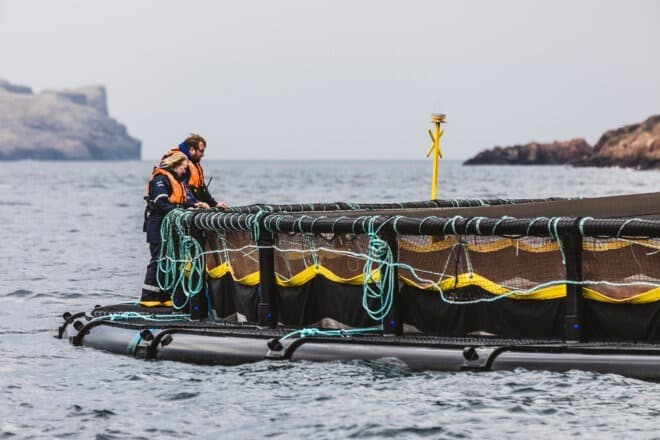How Salmon Farming Sustains Remote Scottish Communities: A Key Anchor Industry