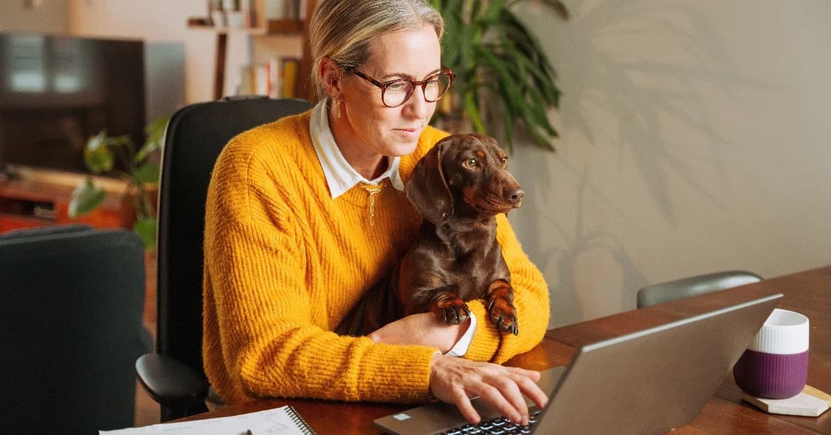 10 High-Paying Remote Jobs Over $50/Hour That Require Minimal Experience