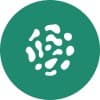Coral.to logo