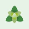 Trillium Health Resources logo